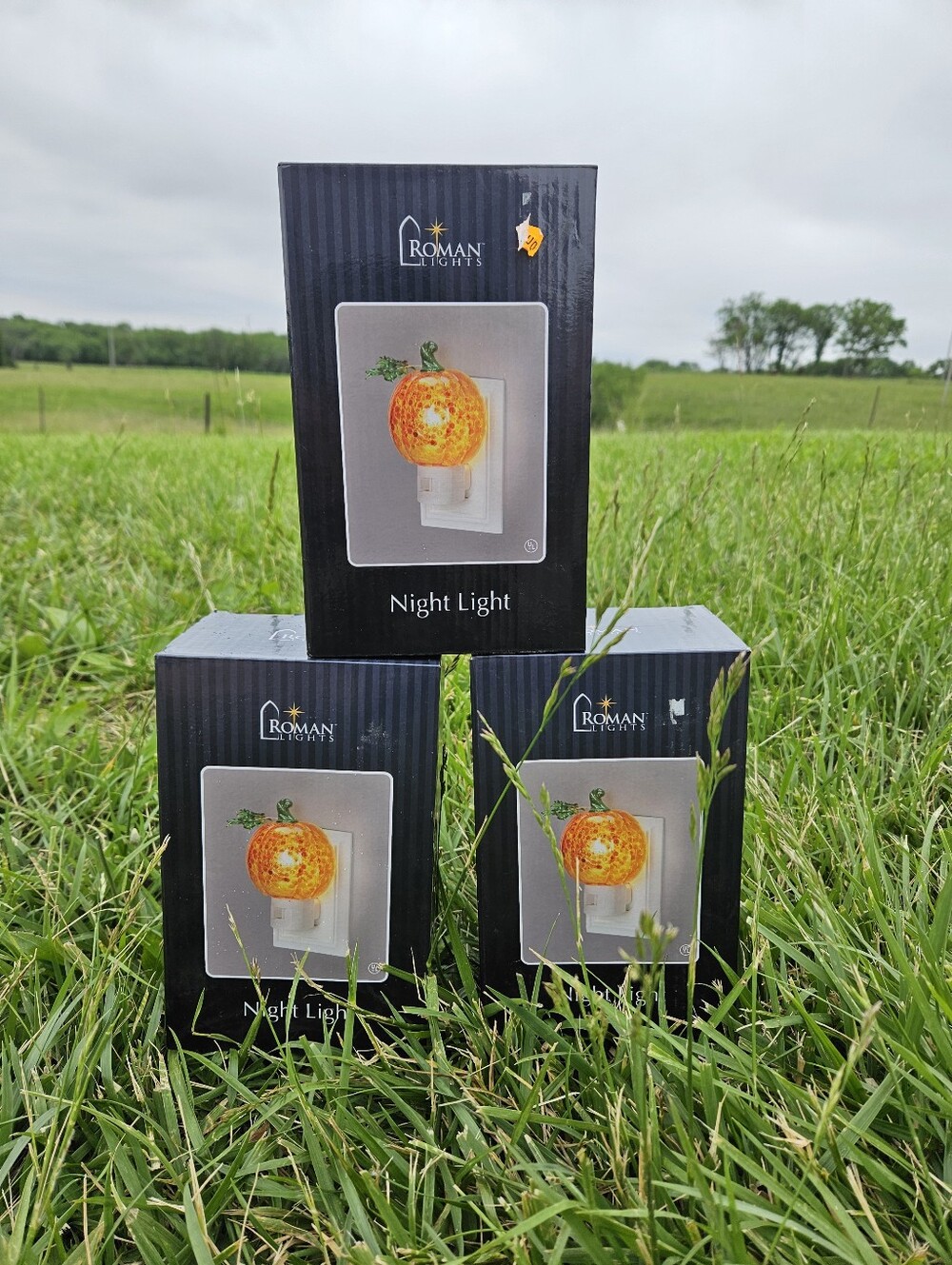 3 NEW Roman Lights Pumpkin Night Lights Fall Halloween Thanksgiving Decor...